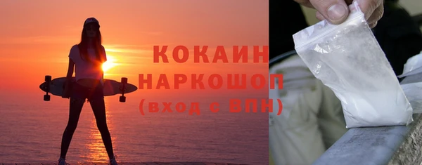 гидра Болохово