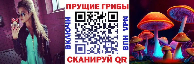 мега tor  Магадан  Псилоцибиновые грибы Cubensis 