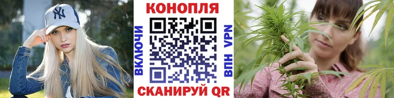 гидра сайт Магадан это Telegram Бошки марихуана MAZAR